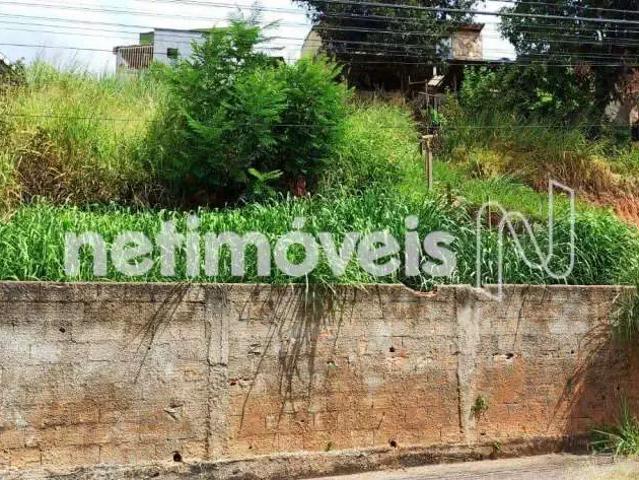 Terreno comercial para Venda em Belo Horizonte/MG Alípio de Melo