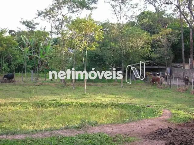 Terreno comercial para Venda em Belo Horizonte/MG Braúnas