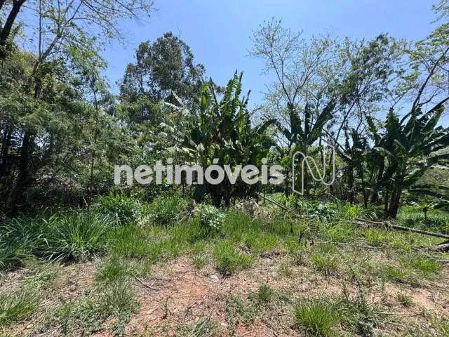 Terreno comercial para Venda em Belo Horizonte/MG Braúnas