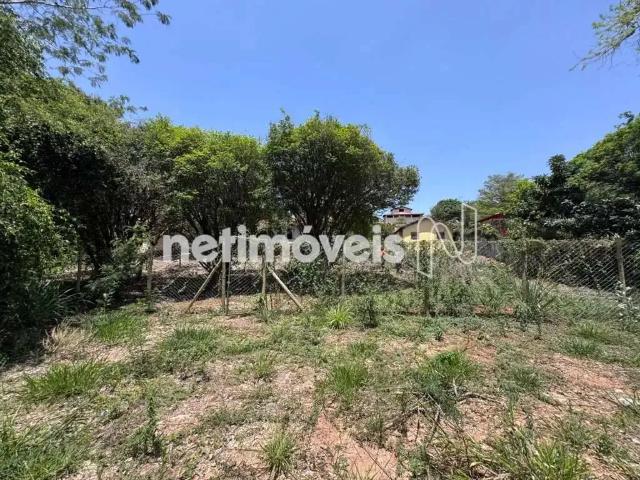 Terreno comercial para Venda em Belo Horizonte/MG Braúnas