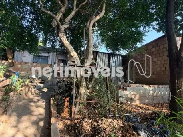 Terreno comercial para Venda em Belo Horizonte/MG Dom Bosco