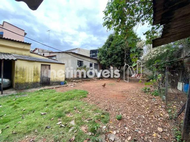Terreno comercial para Venda em Belo Horizonte/MG Dona Clara