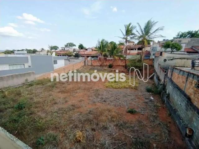 Terreno comercial para Venda em Belo Horizonte/MG Etelvina Carneiro