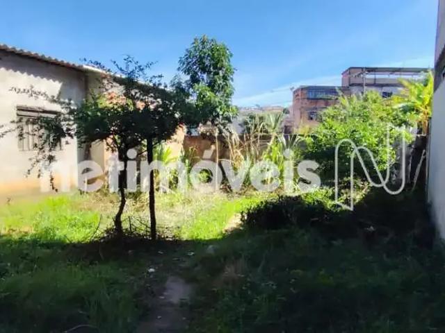 Terreno comercial para Venda em Belo Horizonte/MG Independência 2 Quartos