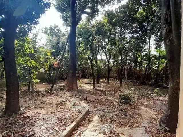 Terreno comercial para Venda em Belo Horizonte/MG Jardim Leblon