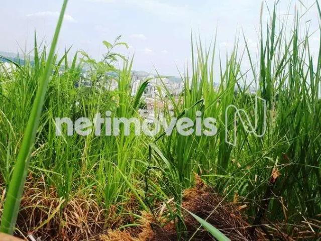 Terreno comercial para Venda em Belo Horizonte/MG Ouro Preto
