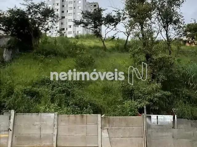 Terreno comercial para Venda em Belo Horizonte/MG Manacás