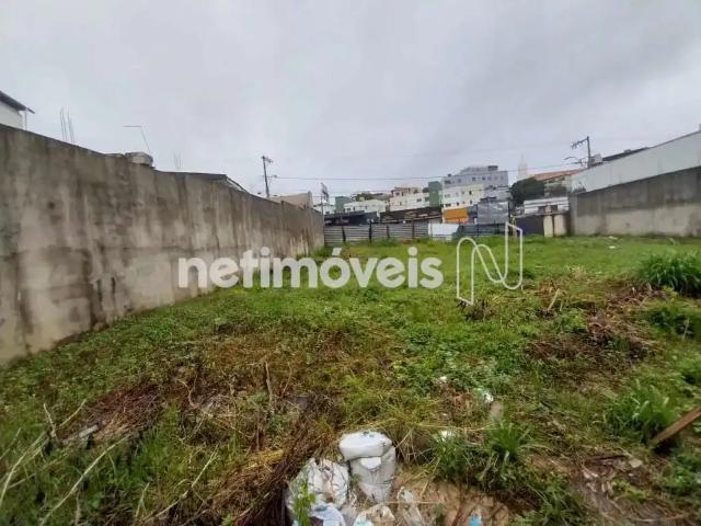 Terreno comercial para Venda em Belo Horizonte/MG Nova Floresta