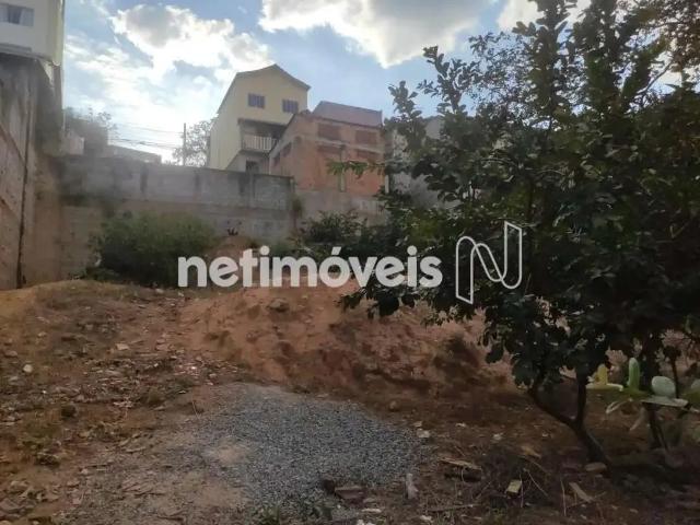Terreno comercial para Venda em Belo Horizonte/MG Nova Gameleira