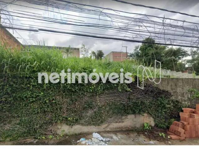 Terreno comercial para Venda em Belo Horizonte/MG São Francisco