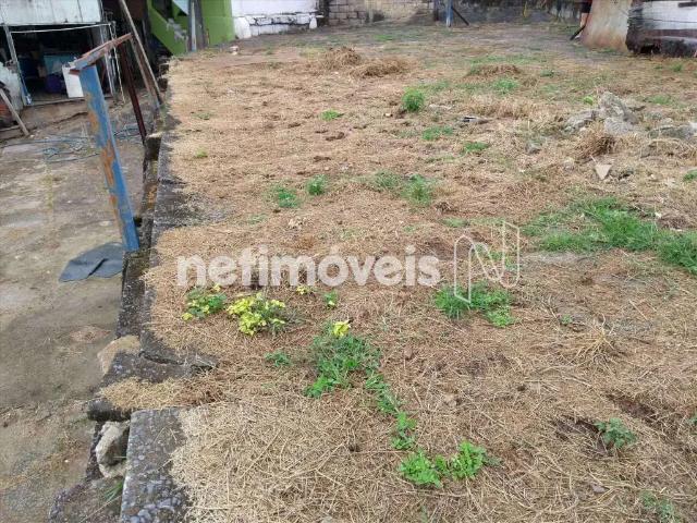 Terreno comercial para Venda em Belo Horizonte/MG São João Batista