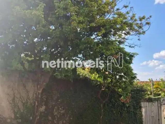 Terreno comercial para Venda em Belo Horizonte/MG São Lucas