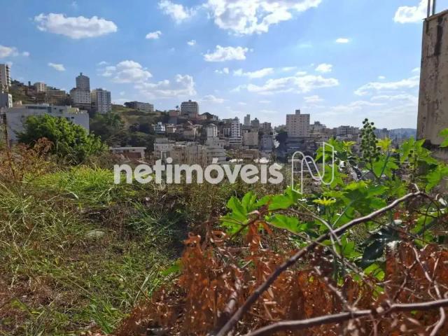 Terreno comercial para Venda em Belo Horizonte/MG São Lucas