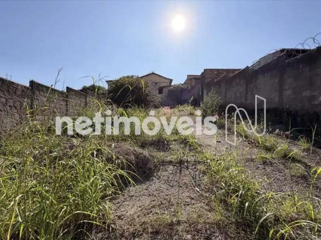 Terreno comercial para Venda em Belo Horizonte/MG São Tomáz 1 Quartos