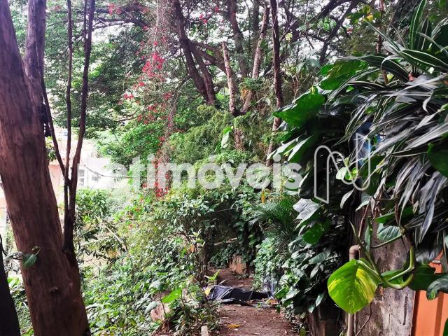 Terreno comercial para Venda em Belo Horizonte/MG Sagrada Família