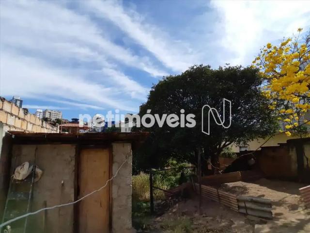 Terreno comercial para Venda em Belo Horizonte/MG Sagrada Família