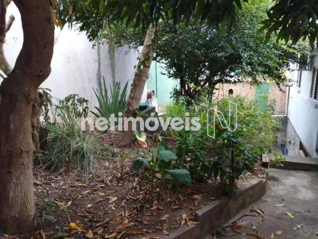 Terreno comercial para Venda em Belo Horizonte/MG Santo André 1 Quartos