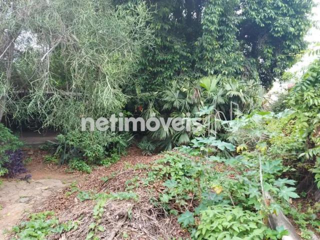 Terreno comercial para Venda em Belo Horizonte/MG Santa Branca