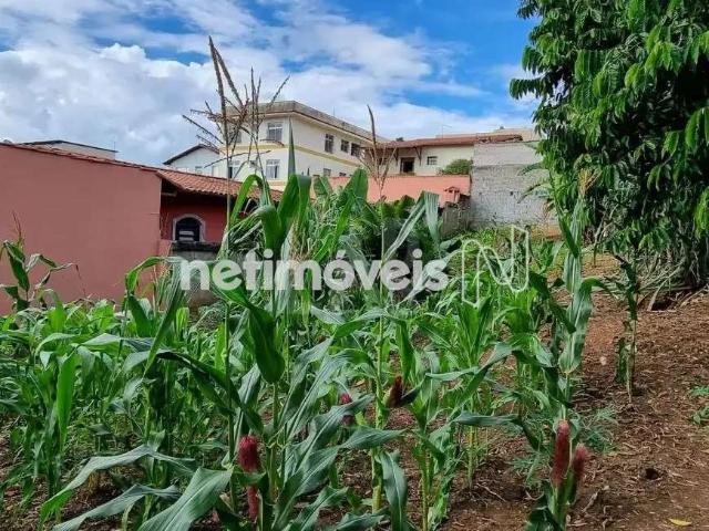 Terreno comercial para Venda em Belo Horizonte/MG Santa Branca