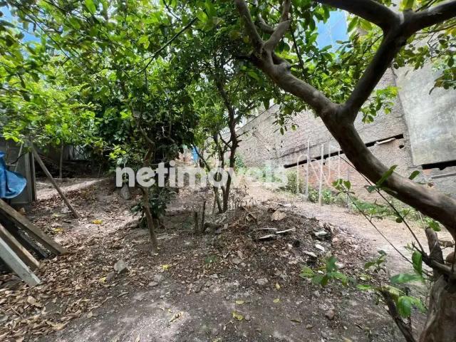 Terreno comercial para Venda em Belo Horizonte/MG Santa Lúcia