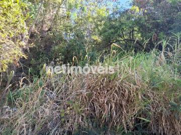 Terreno comercial para Venda em Belo Horizonte/MG Santa Lúcia
