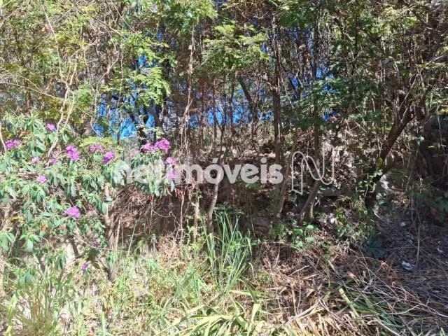 Terreno comercial para Venda em Belo Horizonte/MG Santa Lúcia