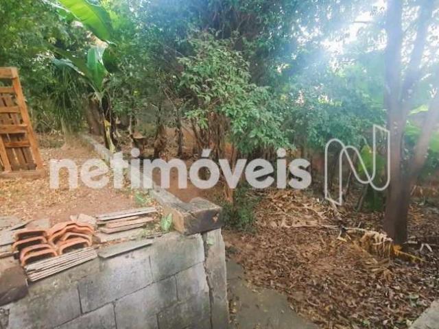 Terreno comercial para Venda em Belo Horizonte/MG Santa Mônica