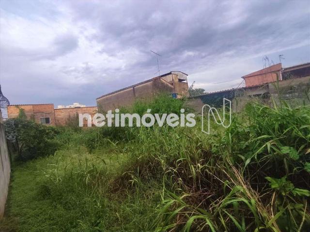 Terreno comercial para Venda em Belo Horizonte/MG Santa Terezinha