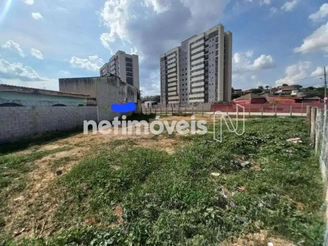 Terreno comercial para Venda em Belo Horizonte/MG Serrano