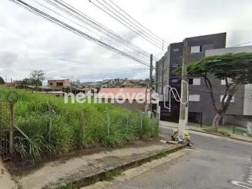 Terreno comercial para Venda em Belo Horizonte/MG Palmeiras