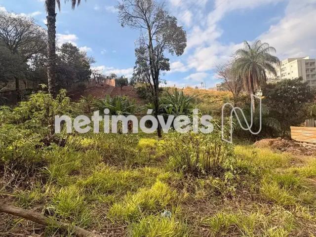 Terreno comercial para Venda em Belo Horizonte/MG Palmeiras