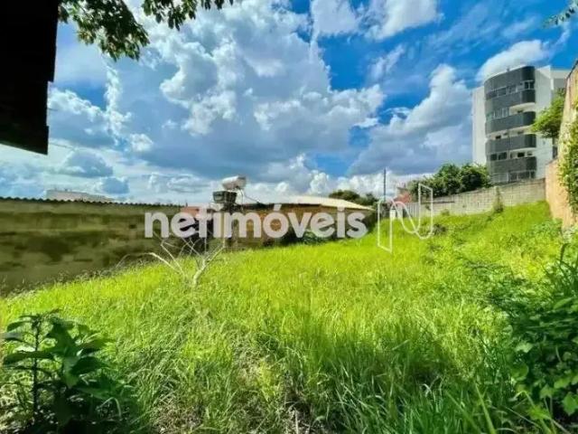 Terreno comercial para Venda em Belo Horizonte/MG Paquetá