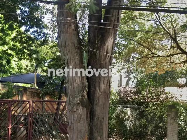 Terreno comercial para Venda em Belo Horizonte/MG Paquetá