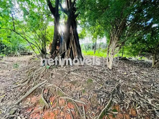 Terreno comercial para Venda em Belo Horizonte/MG Pindorama
