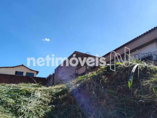 Terreno comercial para Venda em Belo Horizonte/MG Renascença