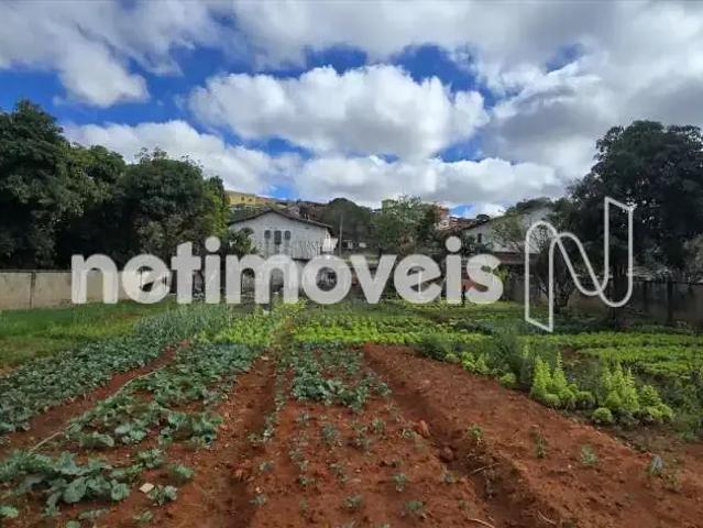 Terreno comercial para Venda em Belo Horizonte/MG Tirol 3 Quartos