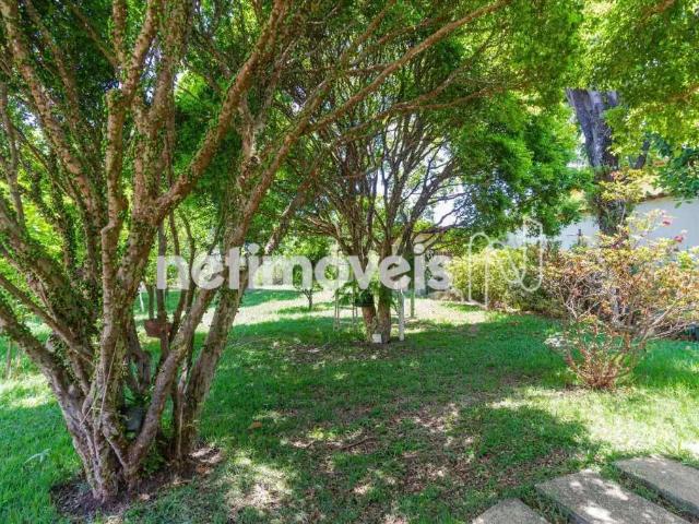 Terreno comercial para Venda em Belo Horizonte/MG Tirol