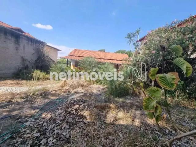 Terreno comercial para Venda em Belo Horizonte/MG Trevo