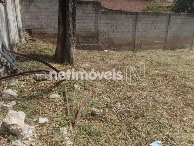 Terreno comercial para Venda em Belo Horizonte/MG Trevo
