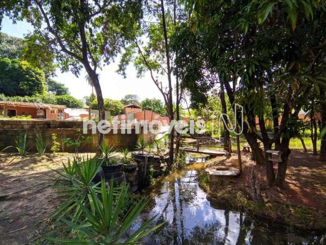 Terreno comercial para Venda em Belo Horizonte/MG Trevo