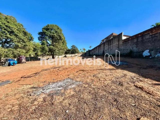 Terreno comercial para Venda em Belo Horizonte/MG Trevo