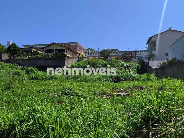 Terreno comercial para Venda em Belo Horizonte/MG Trevo