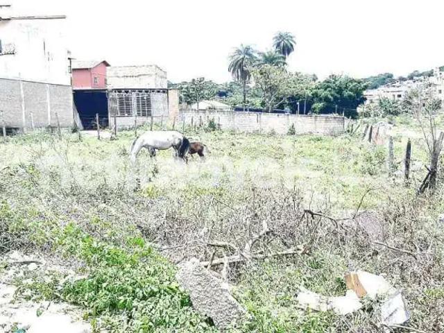 Terreno comercial para Venda em Belo Horizonte/MG Trevo