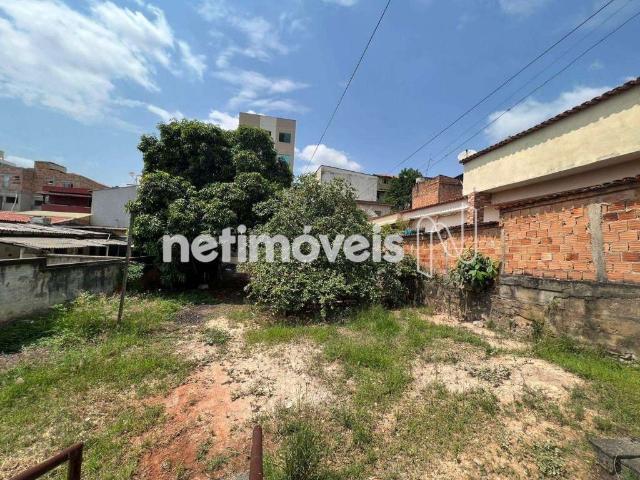 Terreno comercial para Venda em Belo Horizonte/MG Tupi