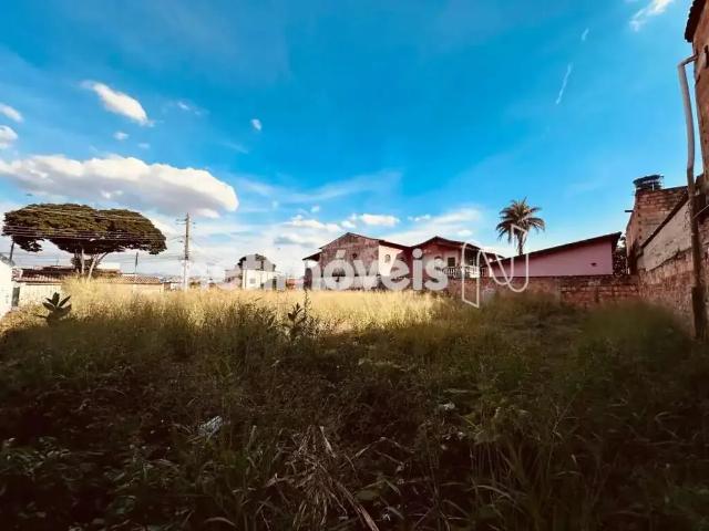Terreno comercial para Venda em Belo Horizonte/MG Urca