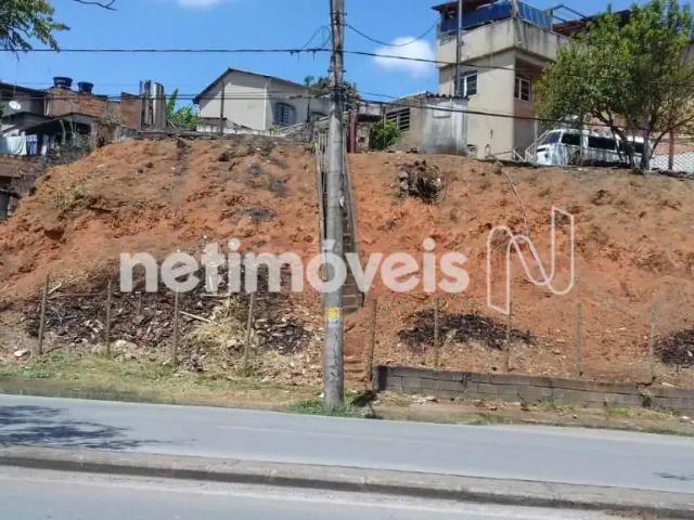 Terreno comercial para Venda em Belo Horizonte/MG Venda Nova