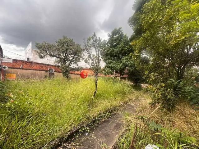 Terreno comercial para Venda em Belo Horizonte/MG Venda Nova