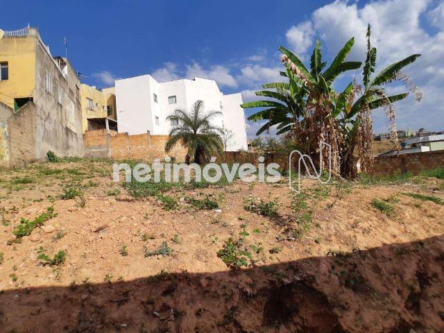 Terreno comercial para Venda em Belo Horizonte/MG Vitória