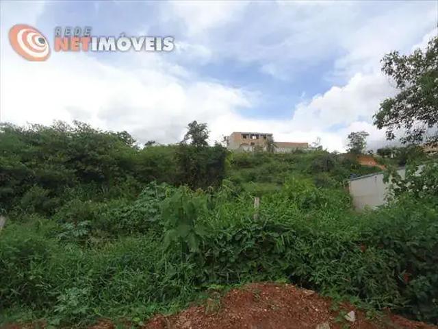 Terreno comercial para Venda em Belo Horizonte/MG Xodó Marize