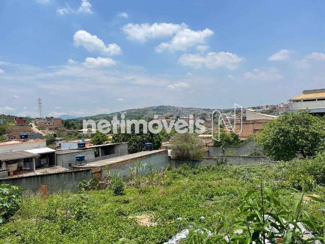 Terreno comercial para Venda em Belo Horizonte/MG Xodó Marize